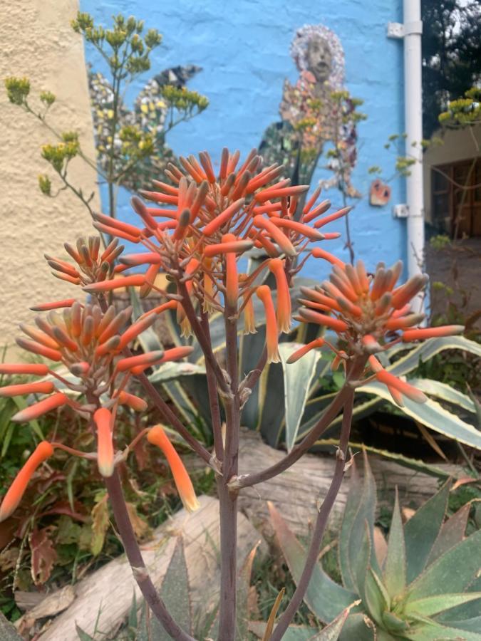 Artkaroo Stay Oudtshoorn Εξωτερικό φωτογραφία