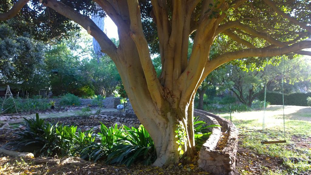 Artkaroo Stay Oudtshoorn Εξωτερικό φωτογραφία