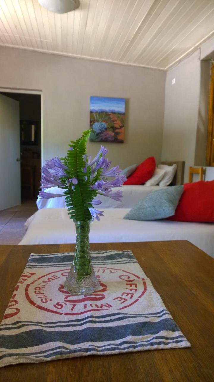 Artkaroo Stay Oudtshoorn Εξωτερικό φωτογραφία